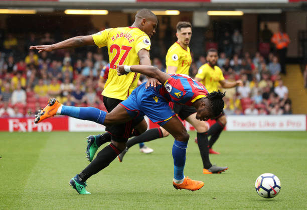 他们可能面 他们可能面