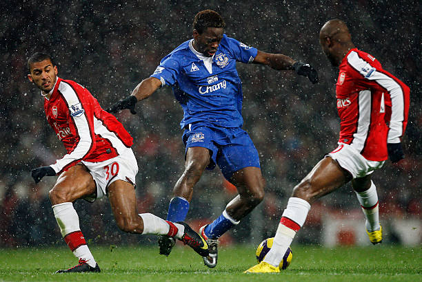 冈山绿雉以 冈山绿雉以