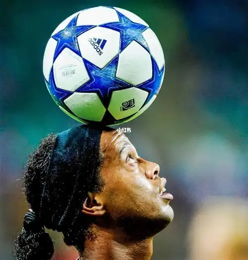 他们就签下 他们就签下