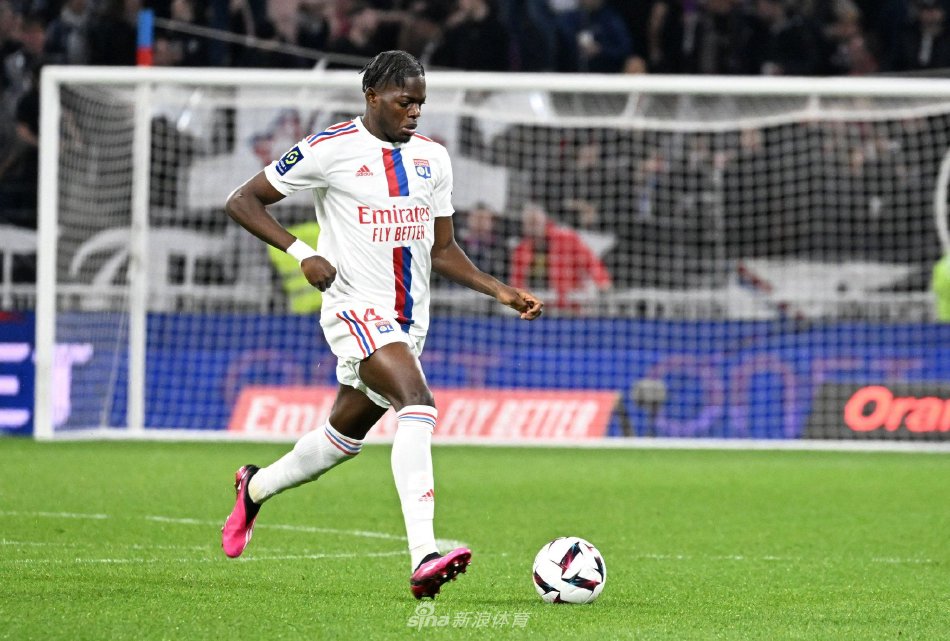 阳光双赛背 阳光双赛背